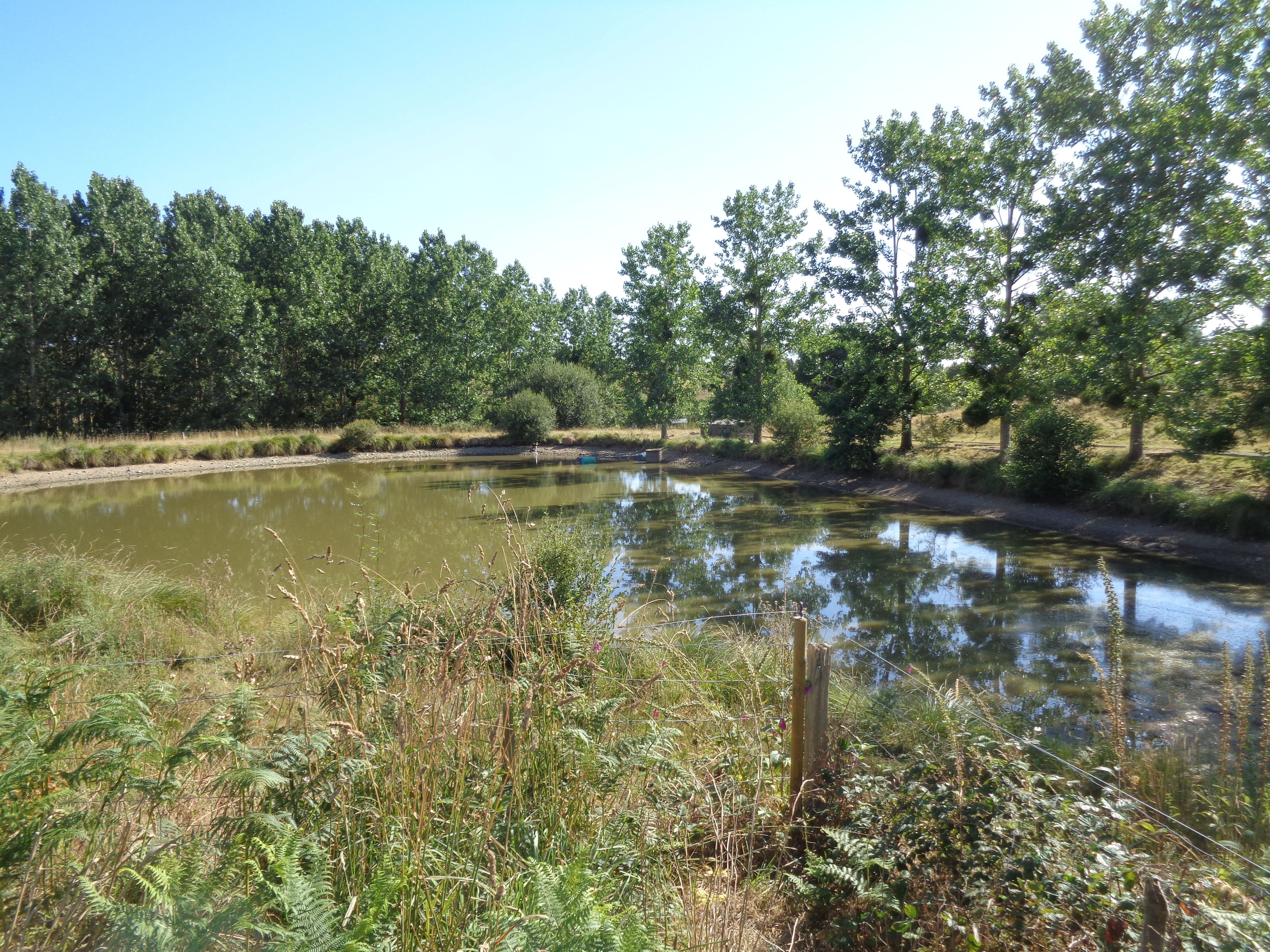 05/ Le moulin Neuf